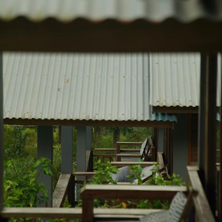 The Geckos Homestay クリムトゥ 部屋 写真