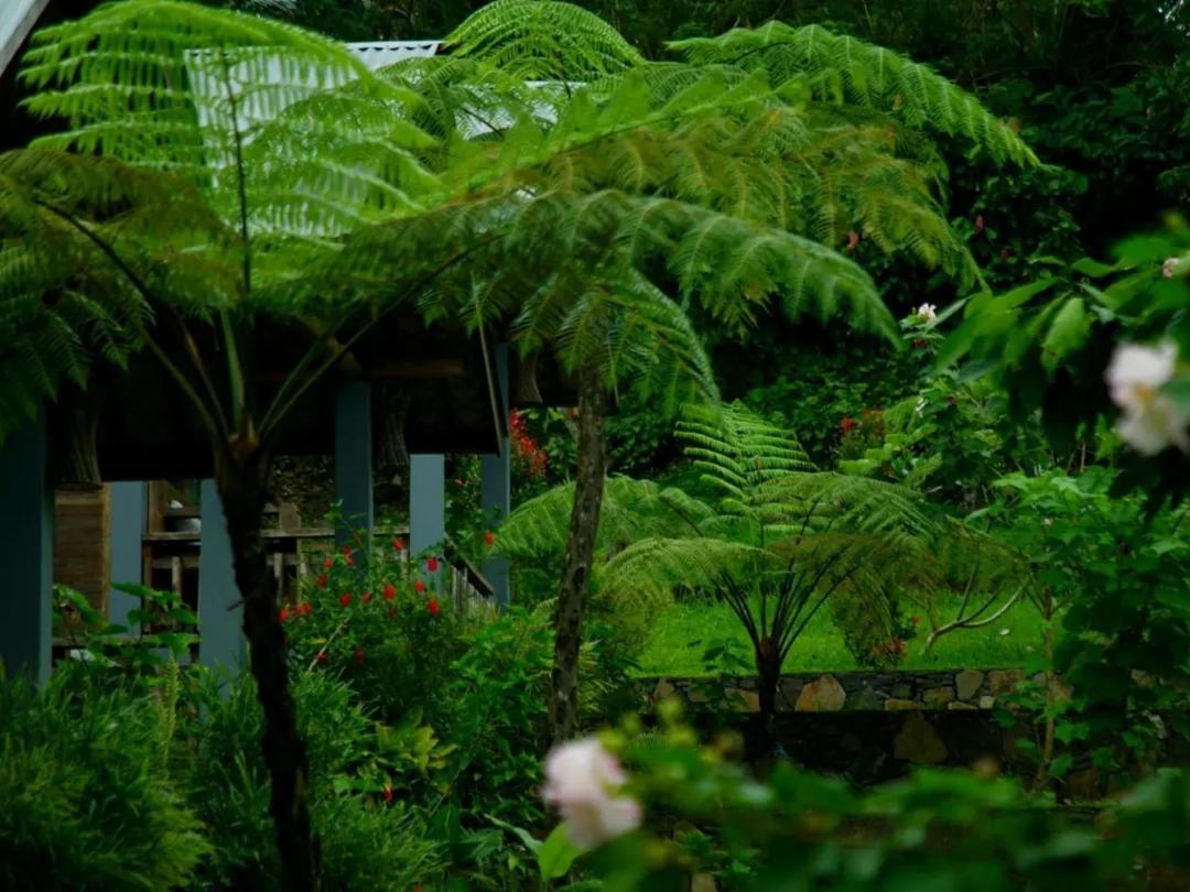 The Geckos Homestay クリムトゥ エクステリア 写真