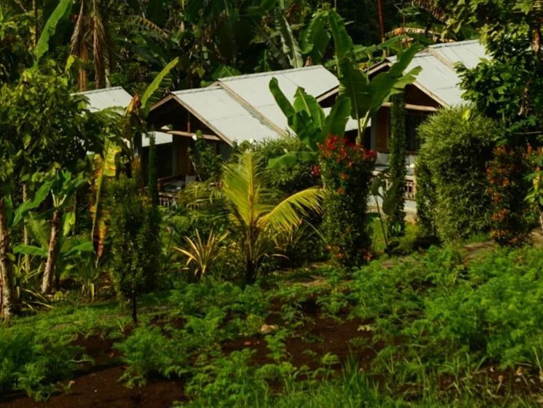 The Geckos Homestay クリムトゥ 部屋 写真