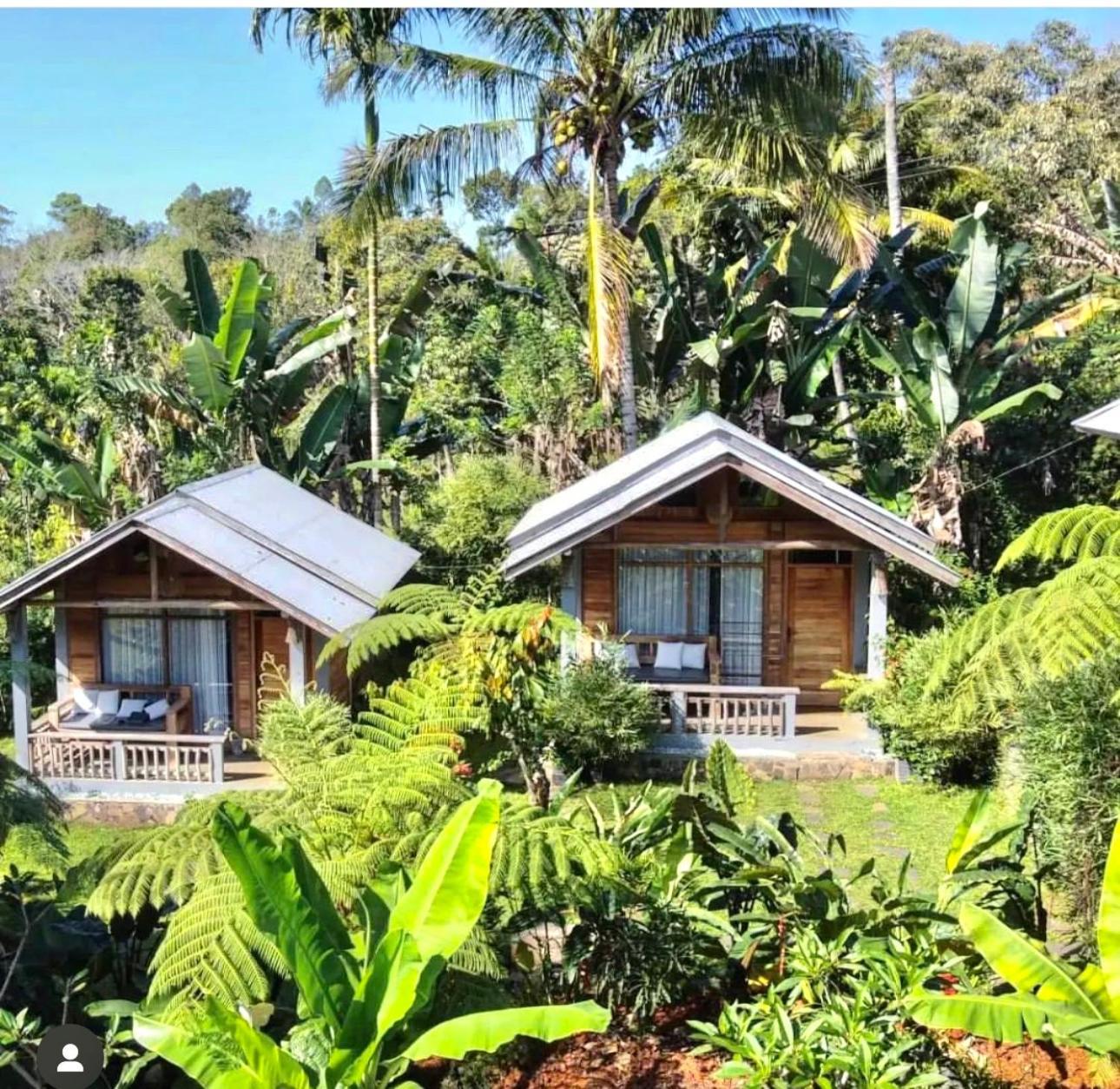 The Geckos Homestay クリムトゥ エクステリア 写真